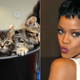 Illustration for article titled Liberals Are Self-Righteous, Rihanna-Loving Cat Ladies